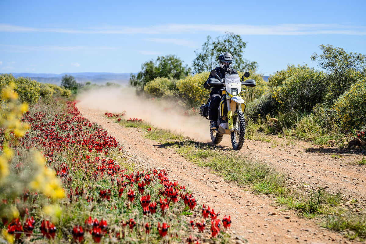 2026-Husqvarna-Trek-Flinders-Ranges