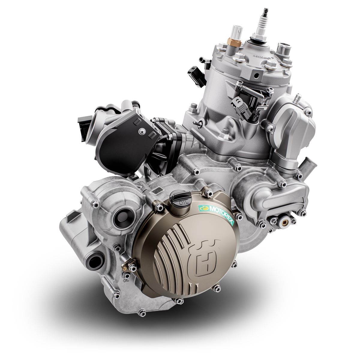 TE 250i 2020 Engine  (2)