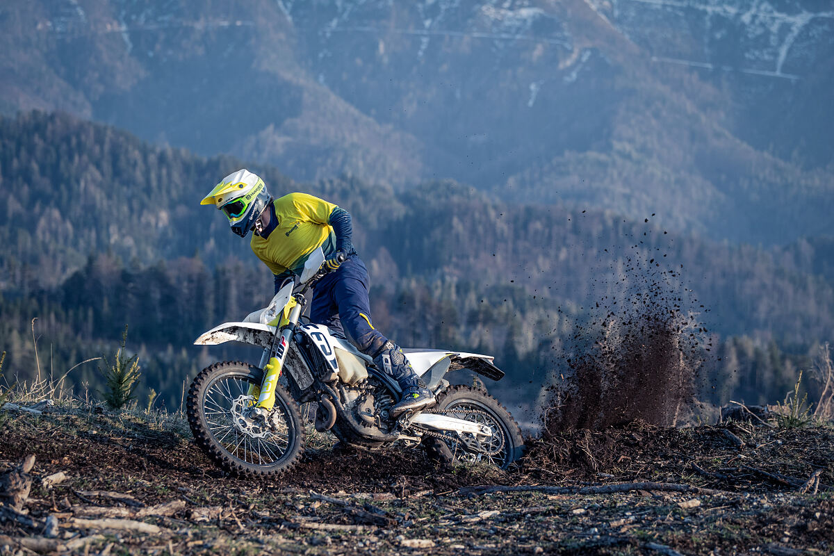 FE 350 (8) 3999x2666