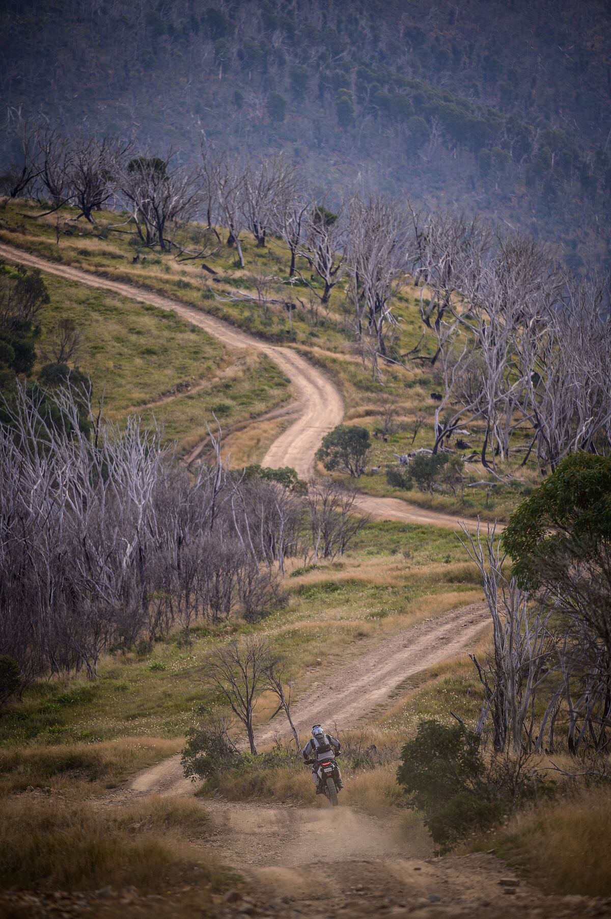 2025-Husqvarna-Trek-Australia-High-Country
