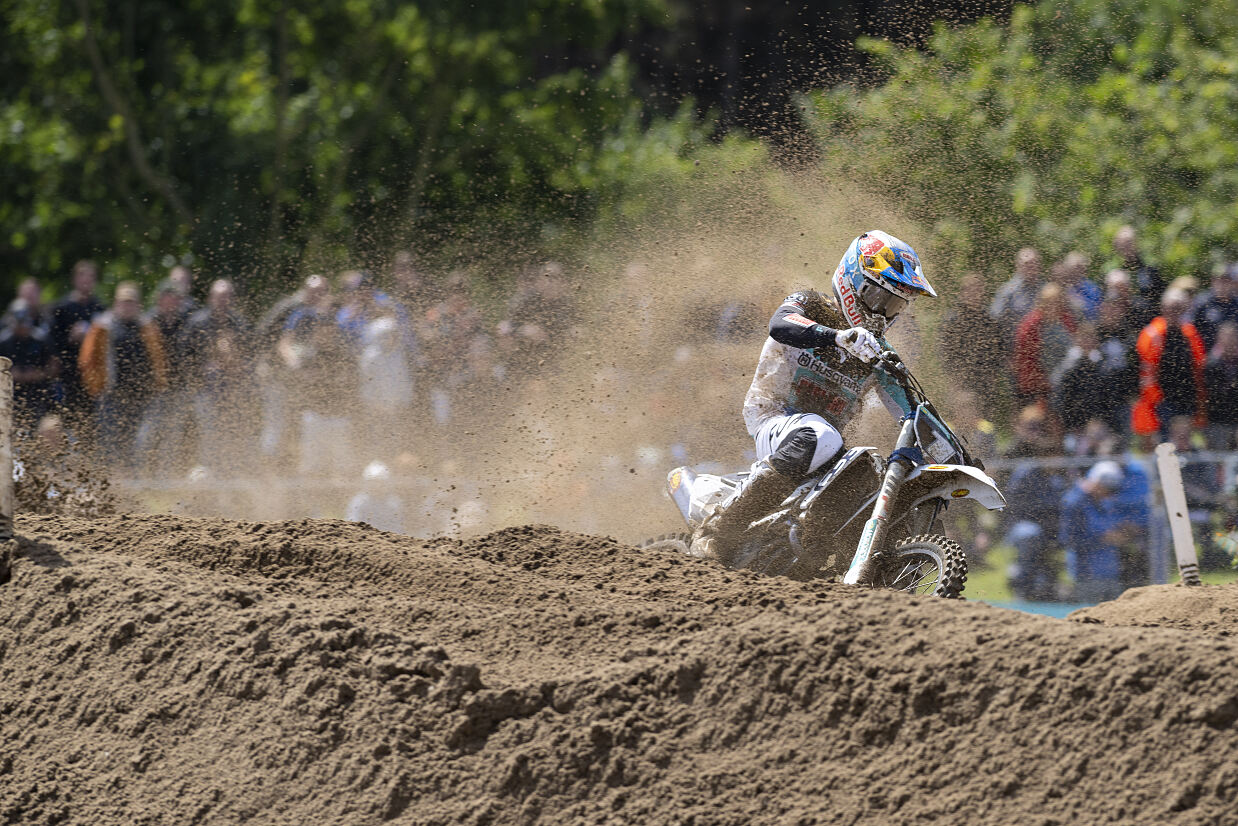 DeWolf_Flanders_2025_Fullspectrum_BS_DSC_4552