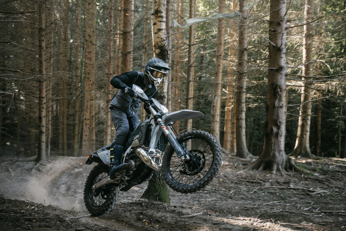 TE 300 Pro 2026 Action 
